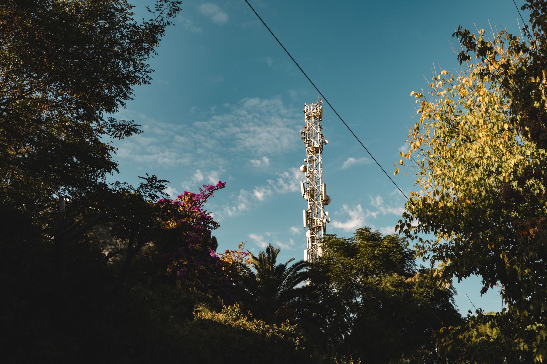 How Telecom companies in Canada run Review Collection over Email